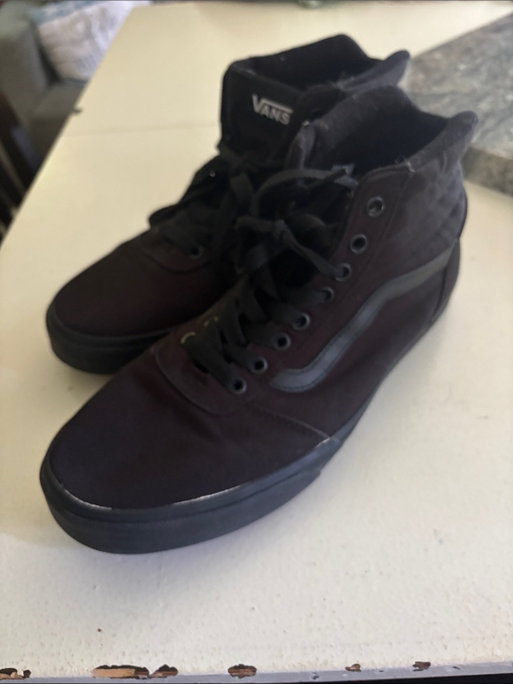 Vans Black High-Top Skate Sneakers